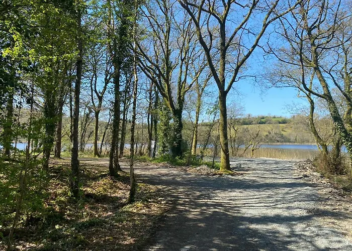 Large Newly Refurbished Lakeside With Optional Private Hot Tub 木屋 Duneena